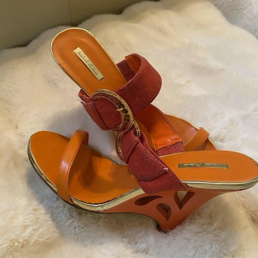 Beverly Feldman Orange and Red Wedges with Elegant Design